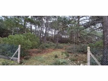 vente terrain à talmont-saint-hilaire (85440) : à vendre / 1600m² talmont-saint-hilaire