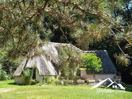 safti perel stéphanie conseiller indépendant