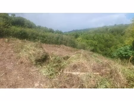 anse a la barque terrain constructible de 1428m² vue montagne