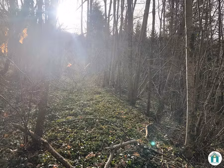 vente propriété à cuxac-cabardès (11390)  3 500 €