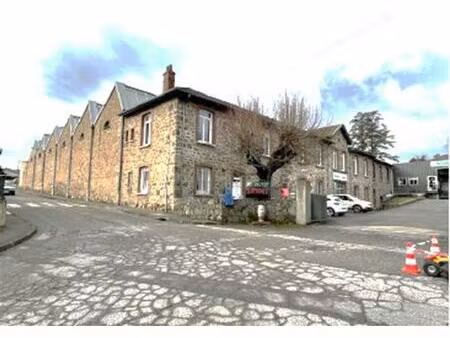 vente local d'activités saint-félicien 3 379 m²