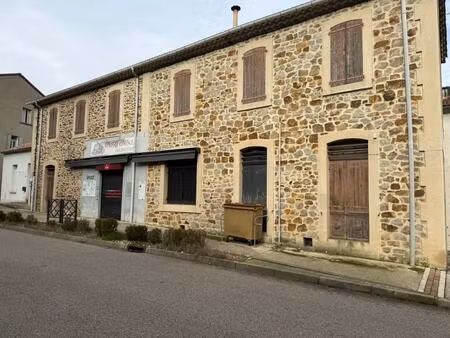 achat immeuble 237m² le martinet 30960
