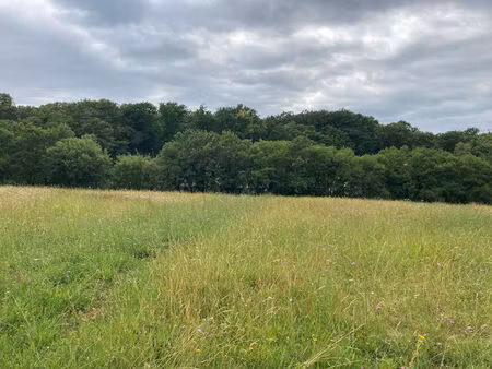 terrain saint benoit 520 m2