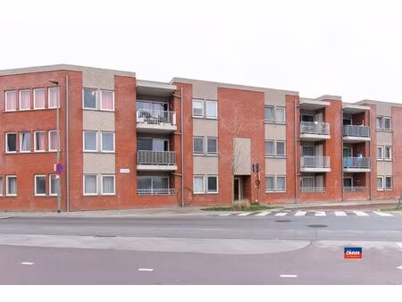 appartement te huur in hoboken met 1 slaapkamer