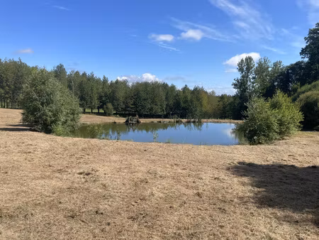 achat terrain 9 376m² segur le chateau 19230