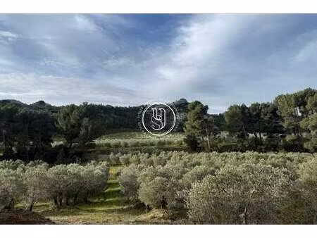 villa de luxe à vendre à maussane-les-alpilles : 6 825 000 € | 800m²