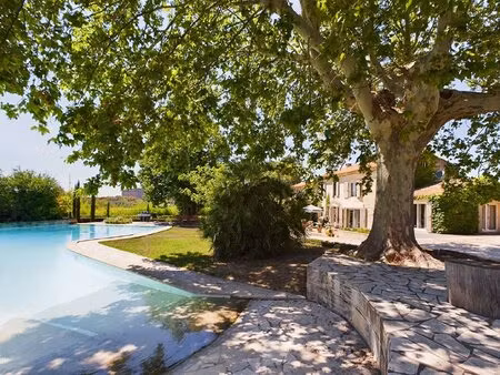mas provençal en campagne d'arles sur un grand terrain