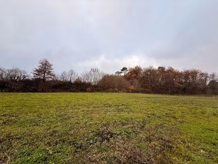 vente terrain 1200 m² lunas (24130)