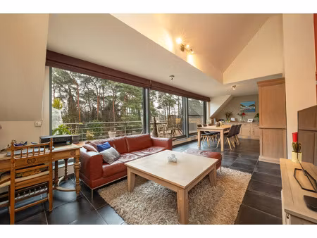 appartement te koop in wechelderzande met 4 slaapkamers