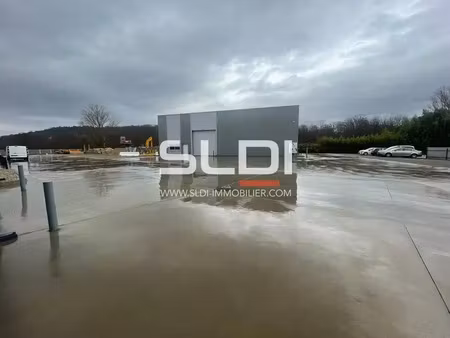 location local d'activités vourles 69390