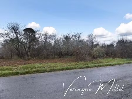 vente terrain 10695 m² lignan-de-bordeaux (33360)