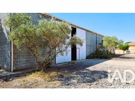 vente maison 1 pièce 1 m² puissalicon (34480)