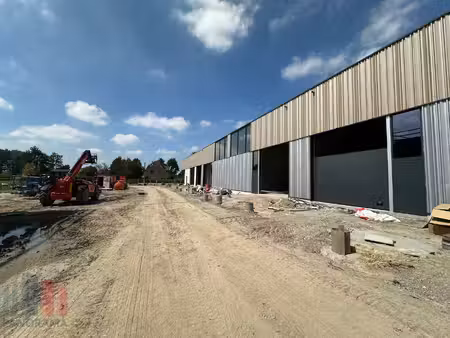 commercieel te koop in anzegem
