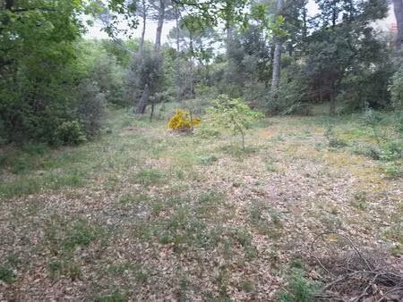 vente terrain à construire 789 m² la roque-d’anthéron (13640)