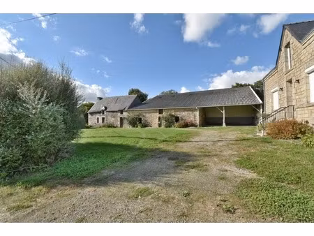propriété de campagne avec maison 2 chambres  longere à renover et hangar sur 5600m²