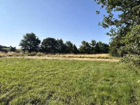 terrain constructible viabilisé à vendre