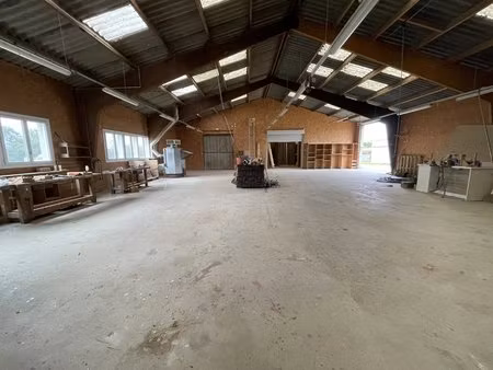 local commercial et artisanal