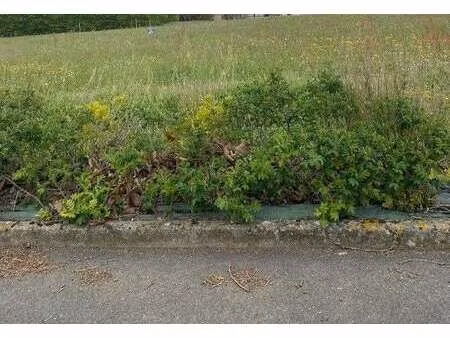 vente terrain à saint-valérien (85570) : à vendre / saint-valérien