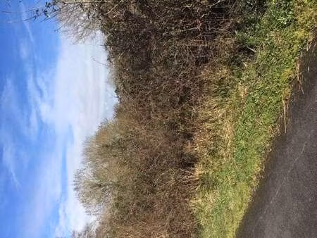 vente terrain à saint-valérien (85570) : à vendre / saint-valérien