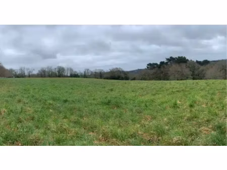 vente terrain à ergué-gabéric (29500) : à vendre / ergué-gabéric