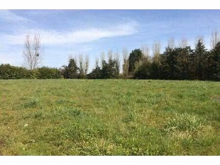 vente terrain à moëlan-sur-mer (29350) : à vendre / moëlan-sur-mer