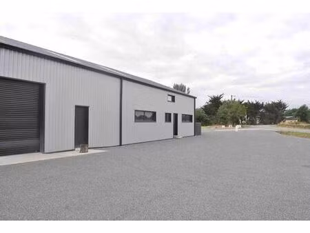 44150 ancenis-saint-gereon - entrepôt / local industriel