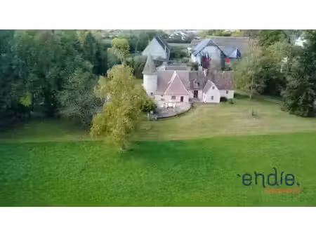 vente château 12 pièces 289 m² à le veurdre (03320)  470 000 €
