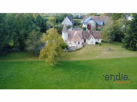 vente maison 12 pièces 289 m² à le veurdre (03320)  574 750 €