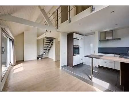 duplex avec 2 chambres et terrasse