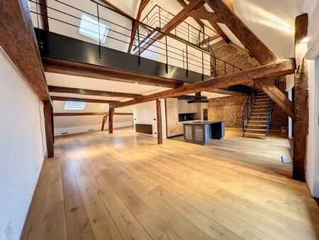 véritable coup de coeur: magnifique loft/penthouse divisé en