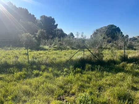 terrain constructible viabilisé à vendre