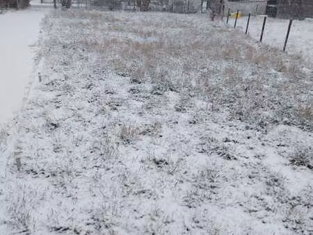 terrain à bâtir dans la commune de wasseiges