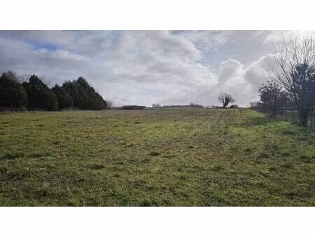 terrain à vendre