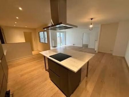 magnifique loft spacieux 1 chambre