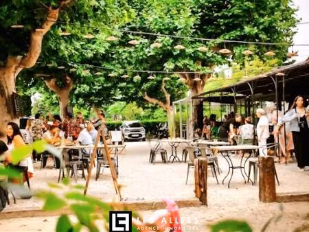 immobilière les allées