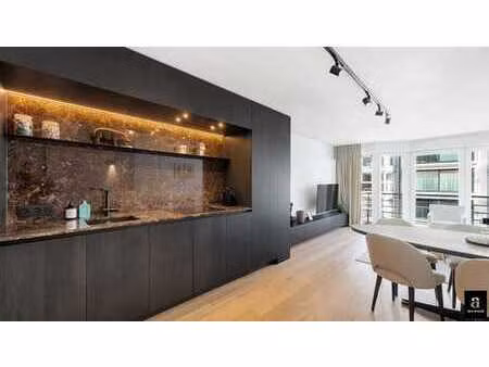 bel appartement 2 chambres vers la place rubens