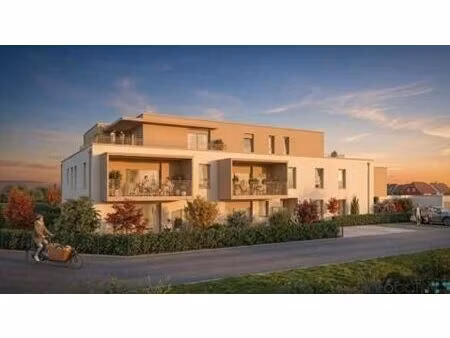 vente programme neuf t2  t3  t4 pièces 46 à 98 m² muntzenheim (68320)