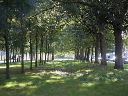 ? vue unique sur le parc | terrasse sud | 2 ch | tondelie...