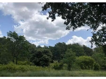 terrain constructible à vendre