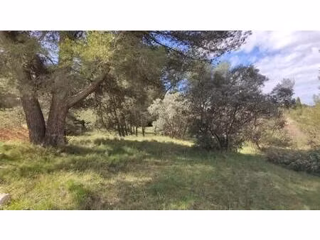 terrain constructible viabilisé à vendre