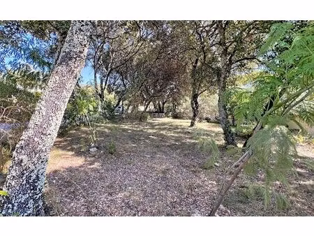 terrain aujargues m² t- à vendre  153 000 €