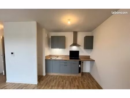 appartement entièrement refait à neuf