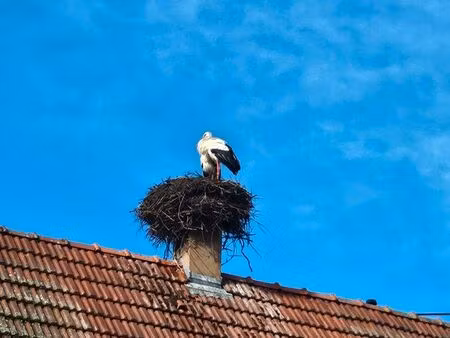 recherchons maison familiale