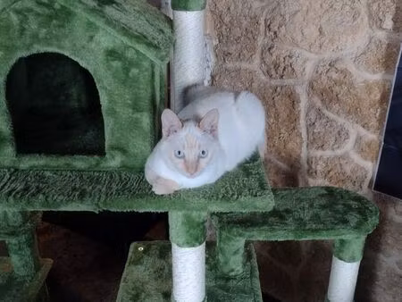 cherche location avec extérieur