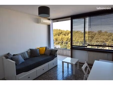 t1 29 m2 proche luminy