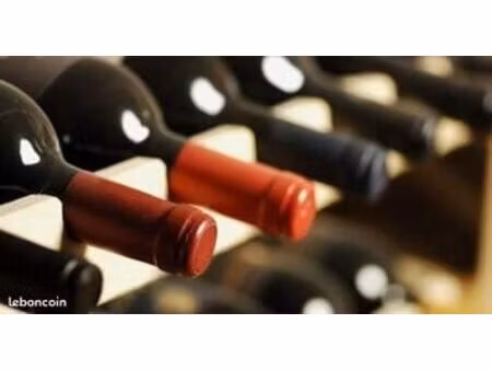 cave 2 pièces 100 m²