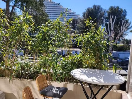 appartement de septembre a juin