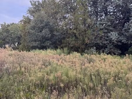 terrain 1 160 m² saint mitre les remparts