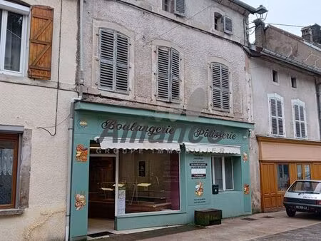 immeuble 280 m² faucogney-et-la-mer