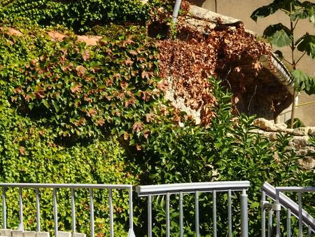 appartement f4 capestang